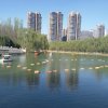 缘爱开心小号的头像