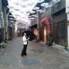 璀璨烟花的头像
