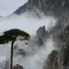 聆听快乐（订制照片书）的头像