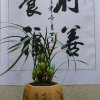 缘在何方的头像
