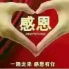 金金的头像