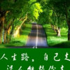 莣憂草（大号）的头像