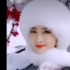 隨心所欲的头像