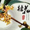 Anna 安娜  的头像