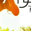 自己的头像