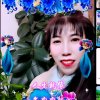 鸿运多娇的头像