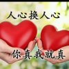 紫色蔷薇的头像