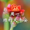 人生如茶的头像