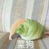 机场里的船的头像