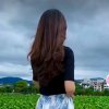 但愿的头像