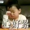 快乐于生的头像