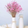 花蕊向日葵的头像