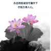 春雨的头像