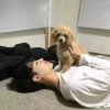 公子扶苏ヅ的头像