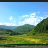 蕙质兰心《暂退》的头像