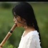 听雨（停币）的头像
