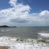 大漠胡杨的头像