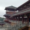 《静心》的头像