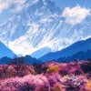 海洋的头像