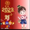 宝贝的头像