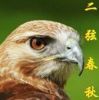 二弦春秋的头像