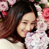 云端的琴声的头像
