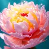 菲菲的头像