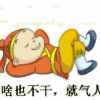 刘佳的头像
