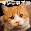 企图的头像
