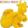 牛姐的头像