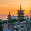 无影的猫的头像