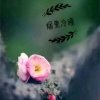 曼珠沙的头像