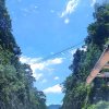 狮门主唱♪ 九天的头像