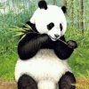 假洒脱的头像
