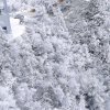 霸音♬永生不变的头像