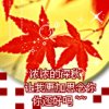 跑调专家り的头像