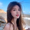 稳稳（暂休)的头像