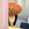 星月.的头像