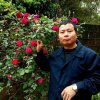 黄明欢的头像