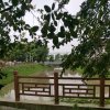 黑马的头像