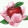 樱桃的头像
