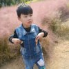 爱唱无棣的头像