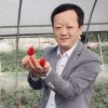达州彬多陶瓷的头像