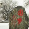 圆梦的头像