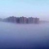 越努力越幸运的头像