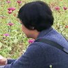 文月的头像