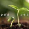 静逸的头像