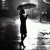 雨中漫步《暂退》的头像