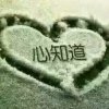 爱会永远的头像