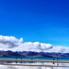 海之蓝的头像